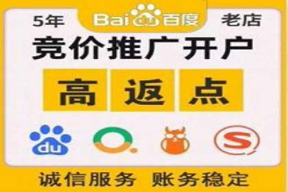 搜索引擎营销（SEM）成功案例详解